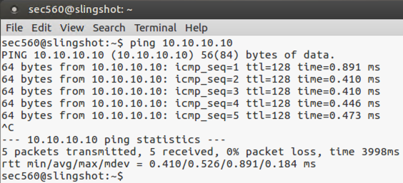 Ping 10.10.10.10 from Linux