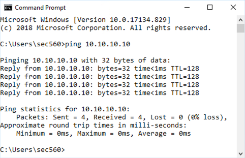Ping 10.10.10.10 from Windows