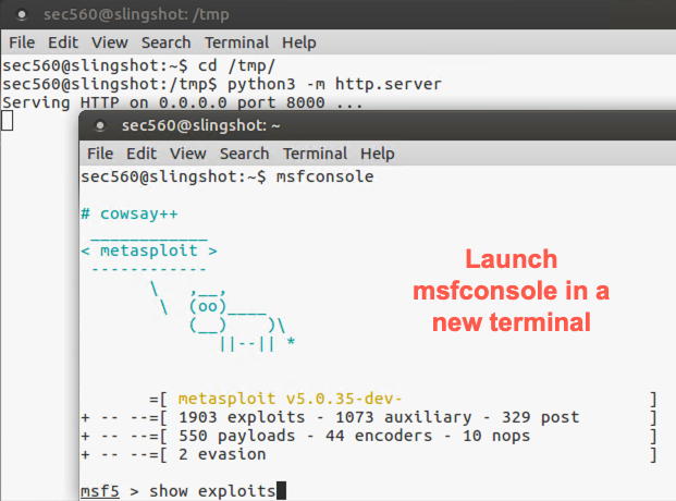 Running the web server and msfconsole