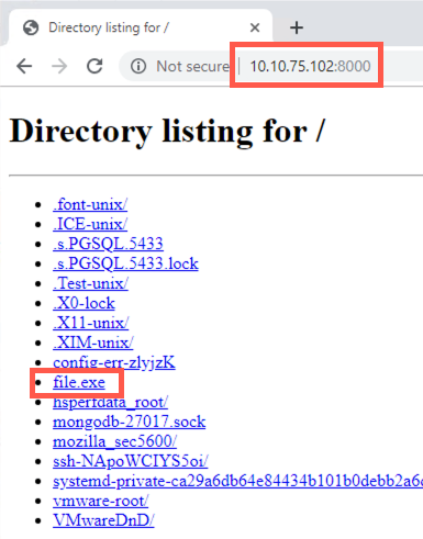 See directory listing in Chrome