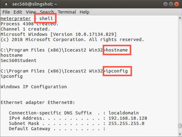 Meterpreter shell command