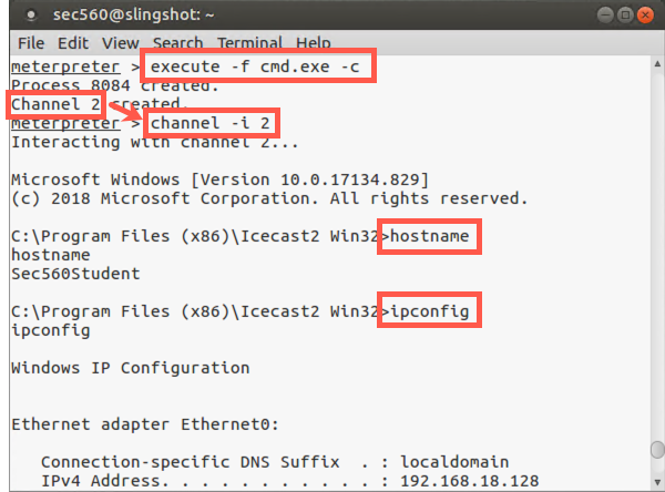 Meterpreter execute command