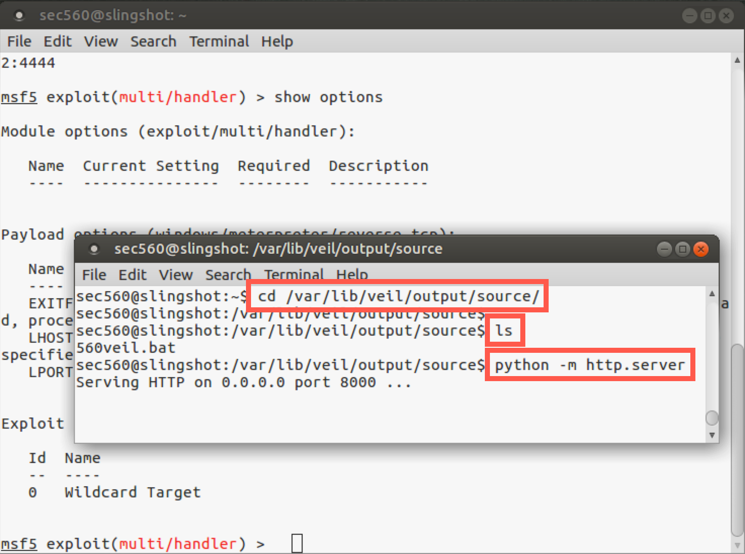 Launching Python webserver