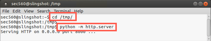 Starting Python server