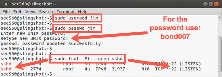 Checking if sshd is running