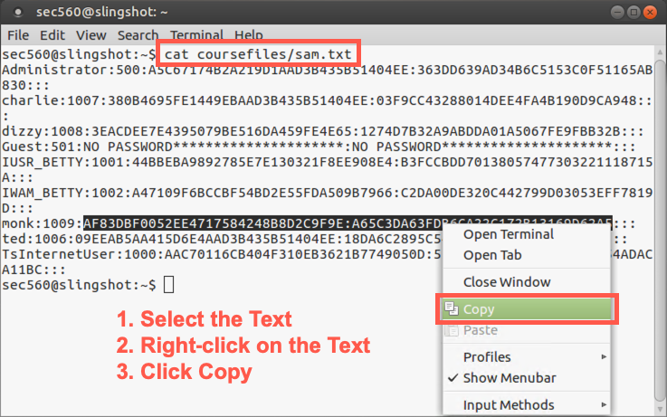 Copying from terminal