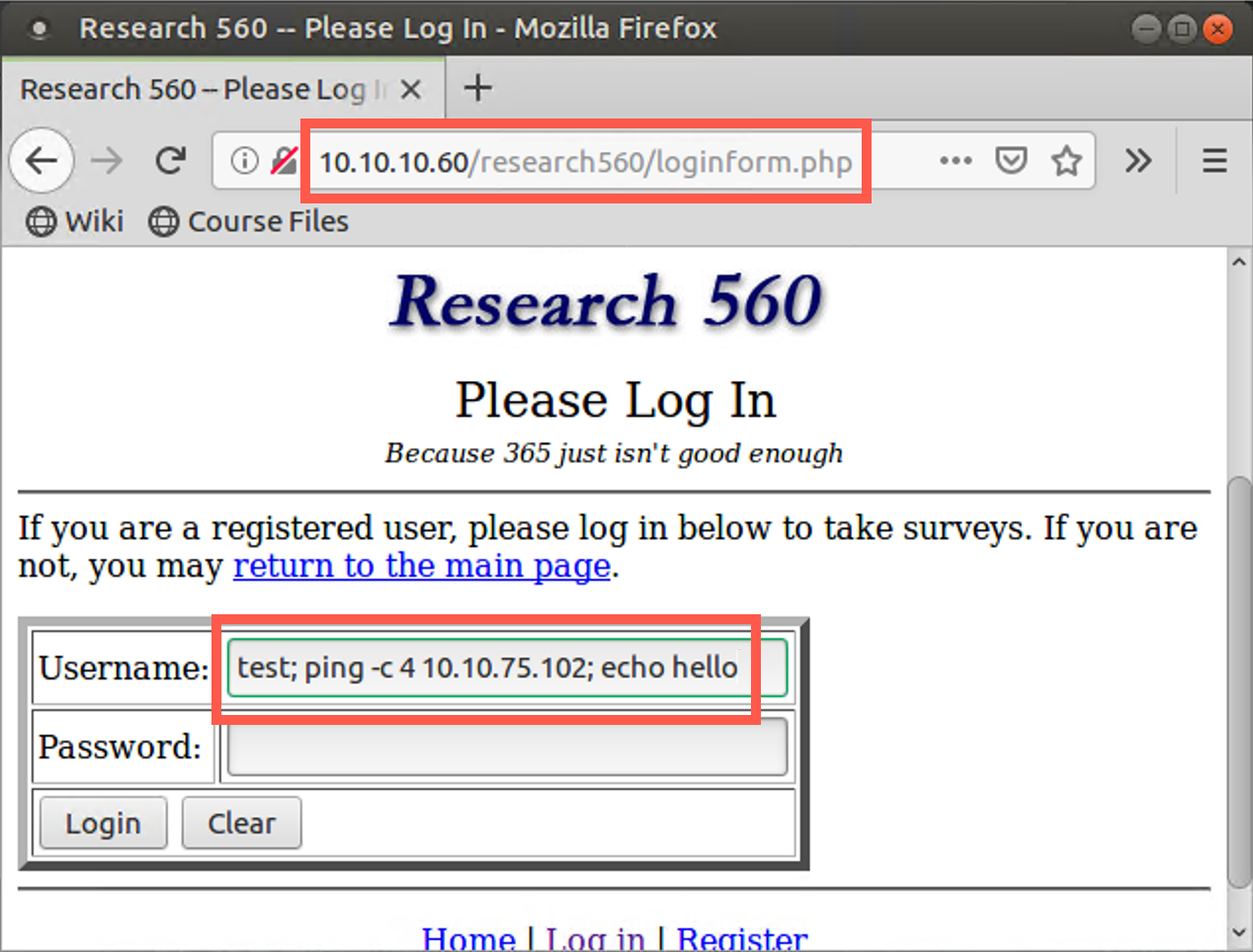 Test ping in username field